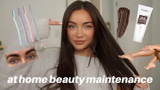 BEAUTY MAINTENANCE ROUTINE: what I do at HOME! (face, brows, hair, + body) to save $$