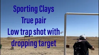 Keep it simple!!  True Pair low trap shot with a dropping target!