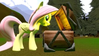 Cursed Pony Magic: Fluttershy