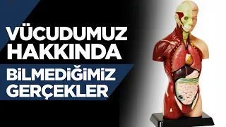 Vücudumuz Hakkında Bilmediğimiz Gerçekler !