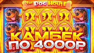 МЕГА КАМБЕК В THE DOG HOUSE ПО 4000Р!!! ЛЮТАЯ ОТМАЗКА В СОБАКАХ!!! НЕ КЛИКБЕЙТ