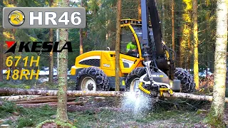 Sampo Rosenlew HR46 tiheässä kuusikossa, osa 2/3.🌲🌲🌲