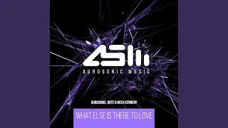 What Else Is There To Love (Extended Mix)