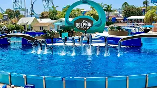 Dolphin Adventures | FULL SHOW 4K Ultra HD | SeaWorld San Diego