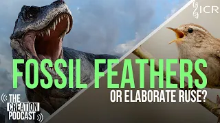 Did Dinosaurs Have Feathers? | The Creation Podcast: Episode 38