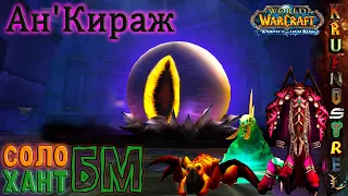 Ан'Кираж — СОЛО Хант БМ !!! (WOTLK 3.3.5a) Ahn'Qiraj SOLO Hunter BM