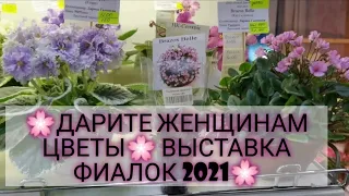 Новая выставка в Доме Фиалки 🌸Дарите женщинам цветы🌸красивейшие сортовые ФИАЛКИ🥰🥰🥰