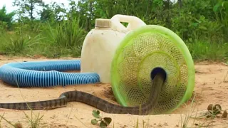 Build Underground  DIY Snake Trap Make From Bottle & PVC Pipe