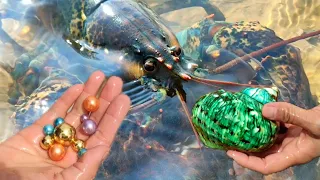 The undercurrent of the deep sea brings green pearl snails. Crayfish, giant clams, orange starfish