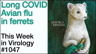 TWiV 1047: Long COVID and avian flu in ferrets