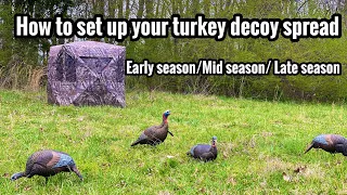 How to set up your turkey decoy spread for early season, mid season, and late season.