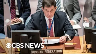 Russia has "no intention" to invade Ukraine, deputy U.N. ambassador says