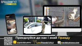 Права для особливих | Домівка врятованих тварин на межі закриття | У Львові спалахнула будівля