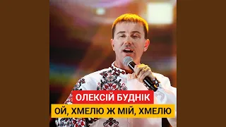 Ой, хмелю ж мій, хмелю