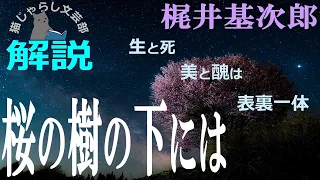 梶井基次郎『桜の樹の下には』解説｜絶対の美しさと死は表裏一体