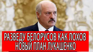 Подкуп избирателей от Лукашенко! Таракан обещает золотые горы белорусам
