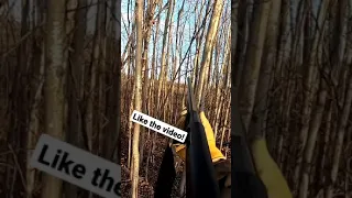 Pheasant Hunting Shot Slow-Mo