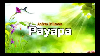 PAYAPA by ANDREA BRILLANTES (Lyrics)