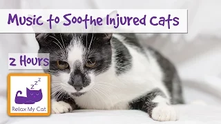 2 Hours of Soothing Music for Injured or Poorly Cats - Calm Down Your Cat with Music