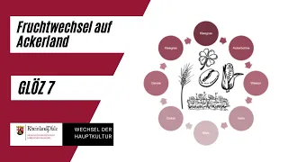 GLÖZ 7: Fruchtwechsel