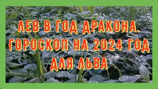 Лев в год Дракона. Гороскоп на 2024 год для Льва