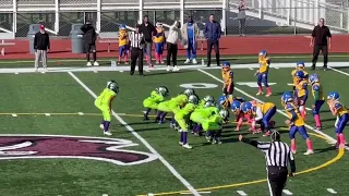 Youth football  Delaware ducks  9u !!