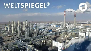 CO2-Ausstoß: China steht an der Spitze | Weltspiegel