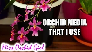 The different media I use with my Orchids - Which Orchids refuse LECA