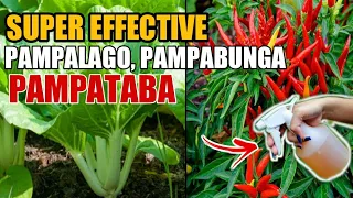 SUPER EFFECTIVE NA PAMPALAGO NG MGA DAHON AT PAMPABUNGA NG HALAMAN