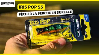 IRIS POP 55! Pour faire monter les CARNASSIERS