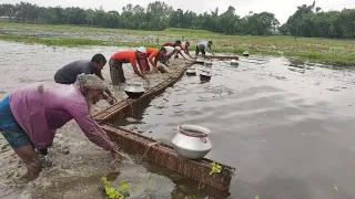 Best primitive village fishing culture in rainy day | Unique fish trapping method in flood water