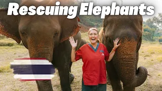 Chiang Mai Elephant Sanctuary 2023 (Feeding and Washing Rescued Elephants) | VLOG #80