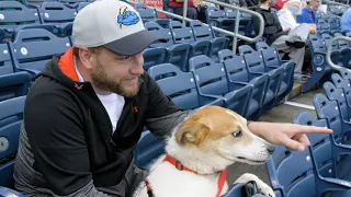 Dogs take over baseball stadium in N.J.