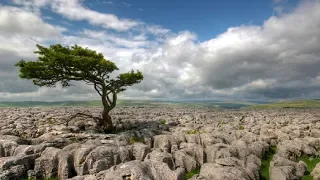 Quran Talk - The Parable of The Farmer and The Trees