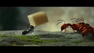 Teaser of Minuscule   Valley of the Lost Ants 2 on 3