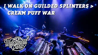 I Walk On Guilded Splinters → Cream Puff War (Live in New Orleans)