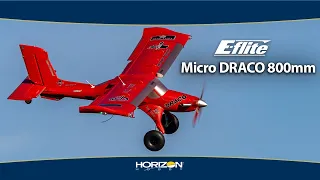 E-flite Micro DRACO 800mm — Officially-licensed model of Mike Patey’s ultimate bush plane!