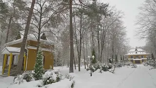 Народний та синоптичний прогноз погоди на четвер 28 грудня