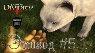 Divine Divinity #5.1 [Целебные камни]