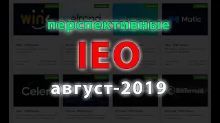 Обзор перспективных IEO в августе-2019 и мысли о Баффете