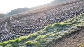 Wolfsangriff auf einen Menschen  in Wietzendorf.