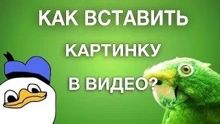 Как добавить картинку в видео? Sony Vegas Pro.