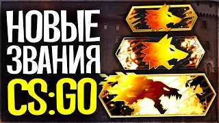 НОВЫЕ ЗВАНИЯ В CS:GO - ФИНАЛ КАЛИБРОВКИ В DANGER ZONE