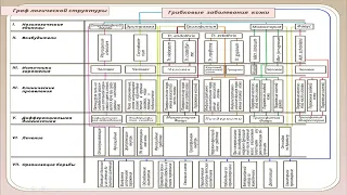 Теплокровность