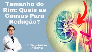 Tamanho do Rim: Quais as Causas Para Redução?