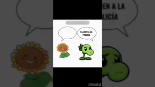 sabes lo que pasa cuando estamos solos #pvz repetidor x girasol #meme