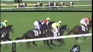 ディープインパクト新馬戦　上がり３３．４秒