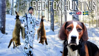 NH: Fox Hunting with Hounds | 2021