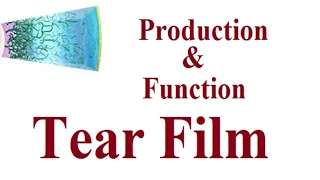 Tear Film and Tear Function