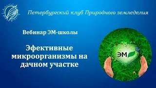 Вебинар "Эффективные микроорганизмы на дачном участке"